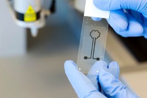 3d-printed-wood-cellulose-1