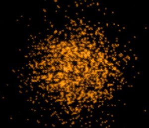 fermion-microscope-4